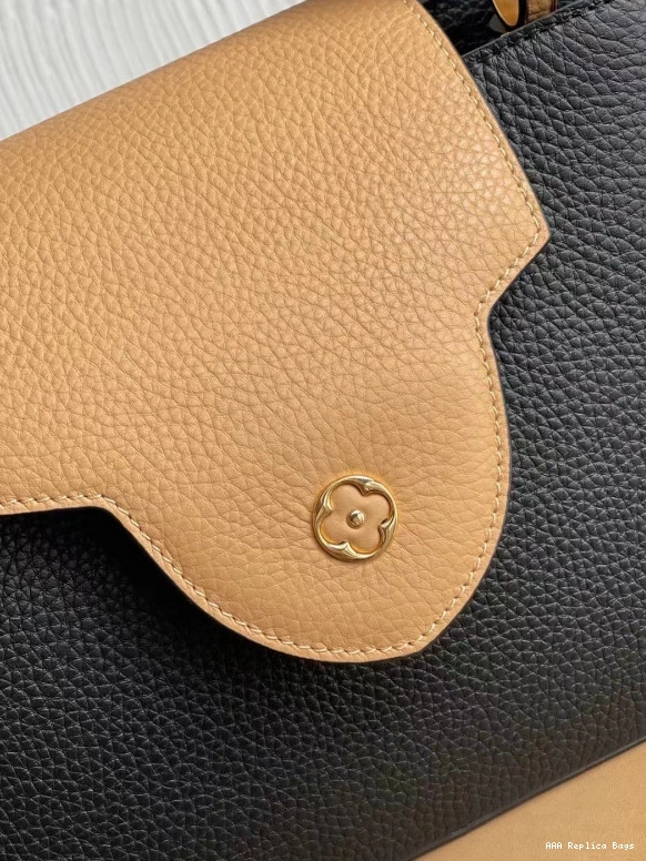 Aaa replica ru Vuitton CAPUCINES MM Louis 0722